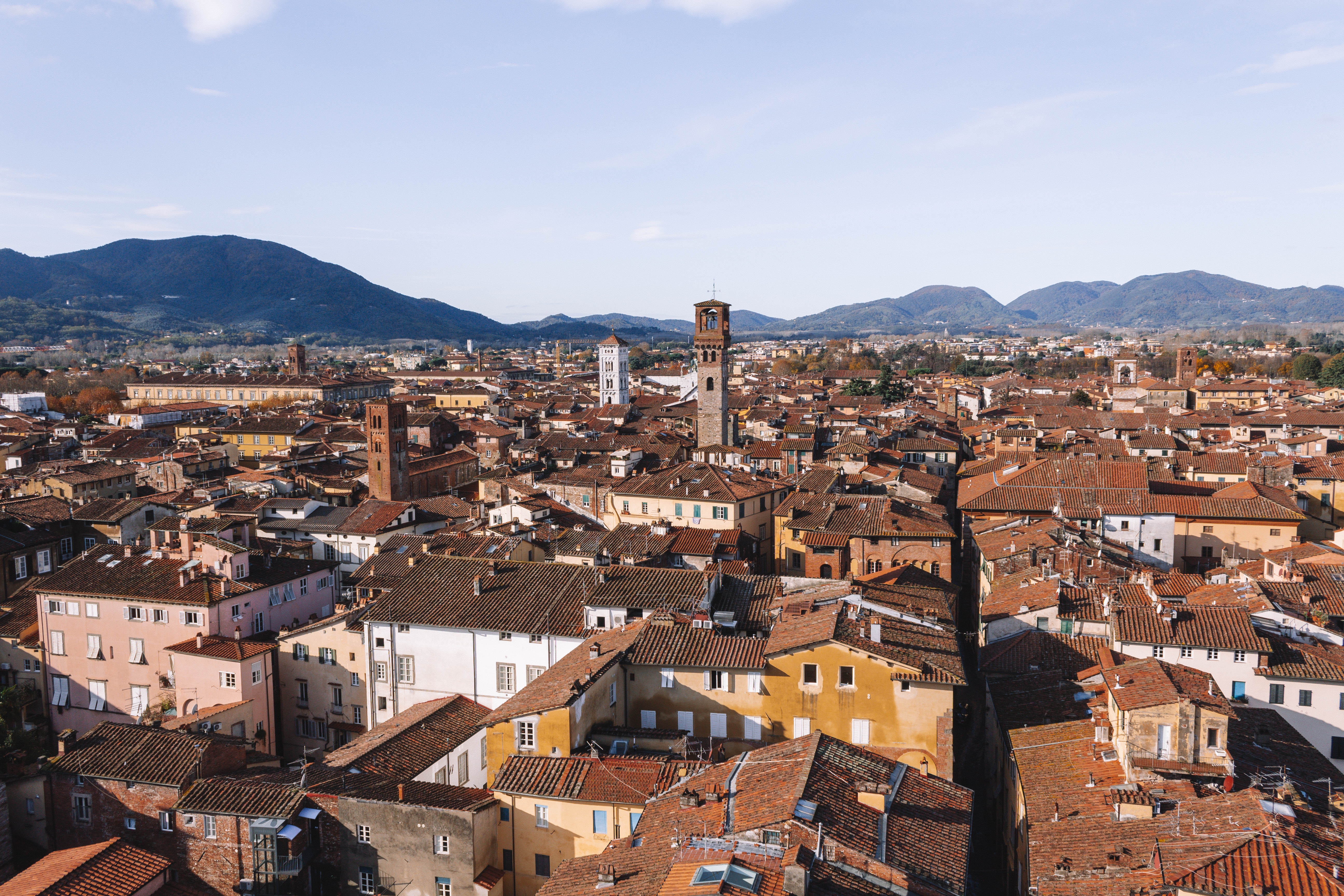 View from the Torre Guinigi