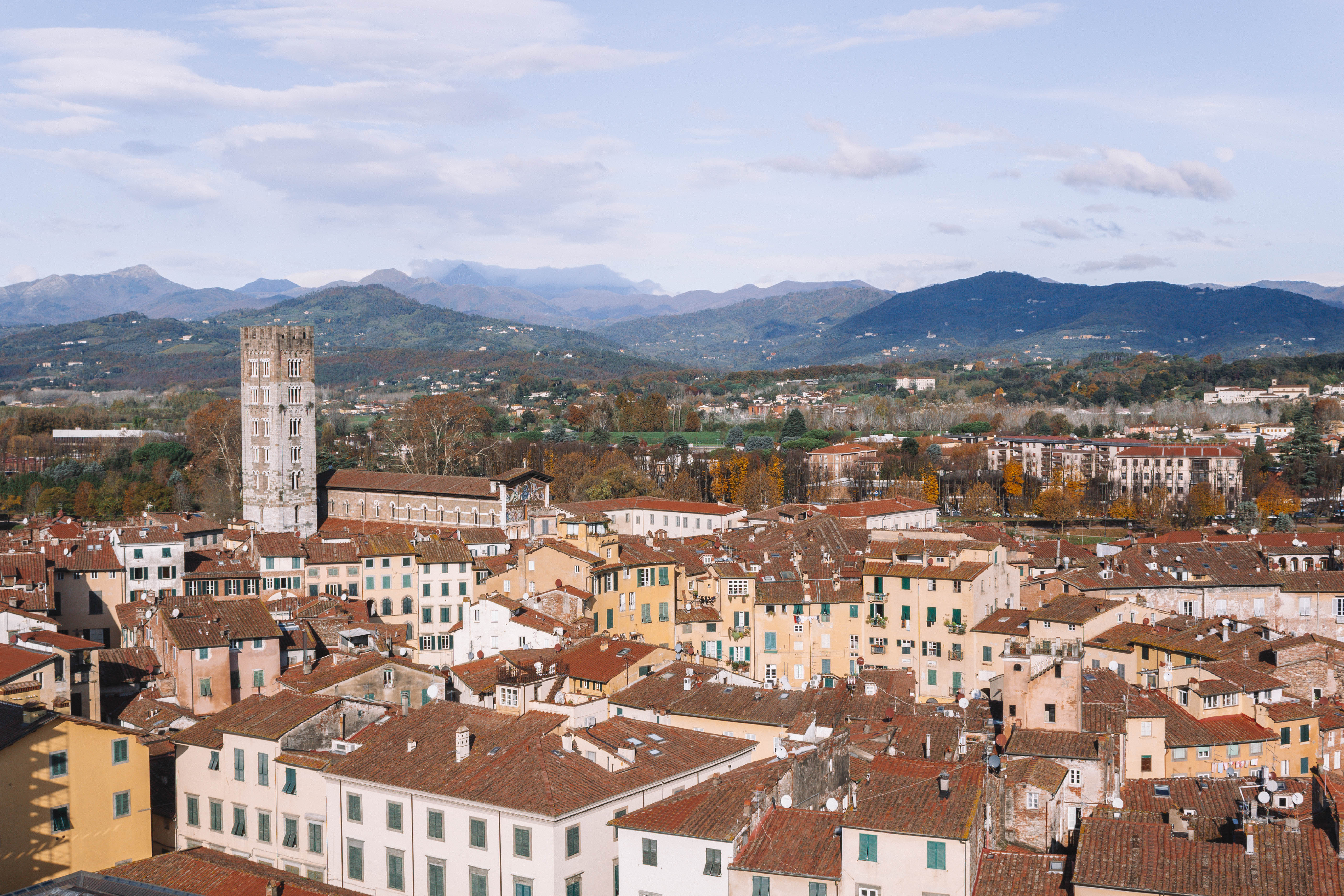 View from the Torre Guinigi