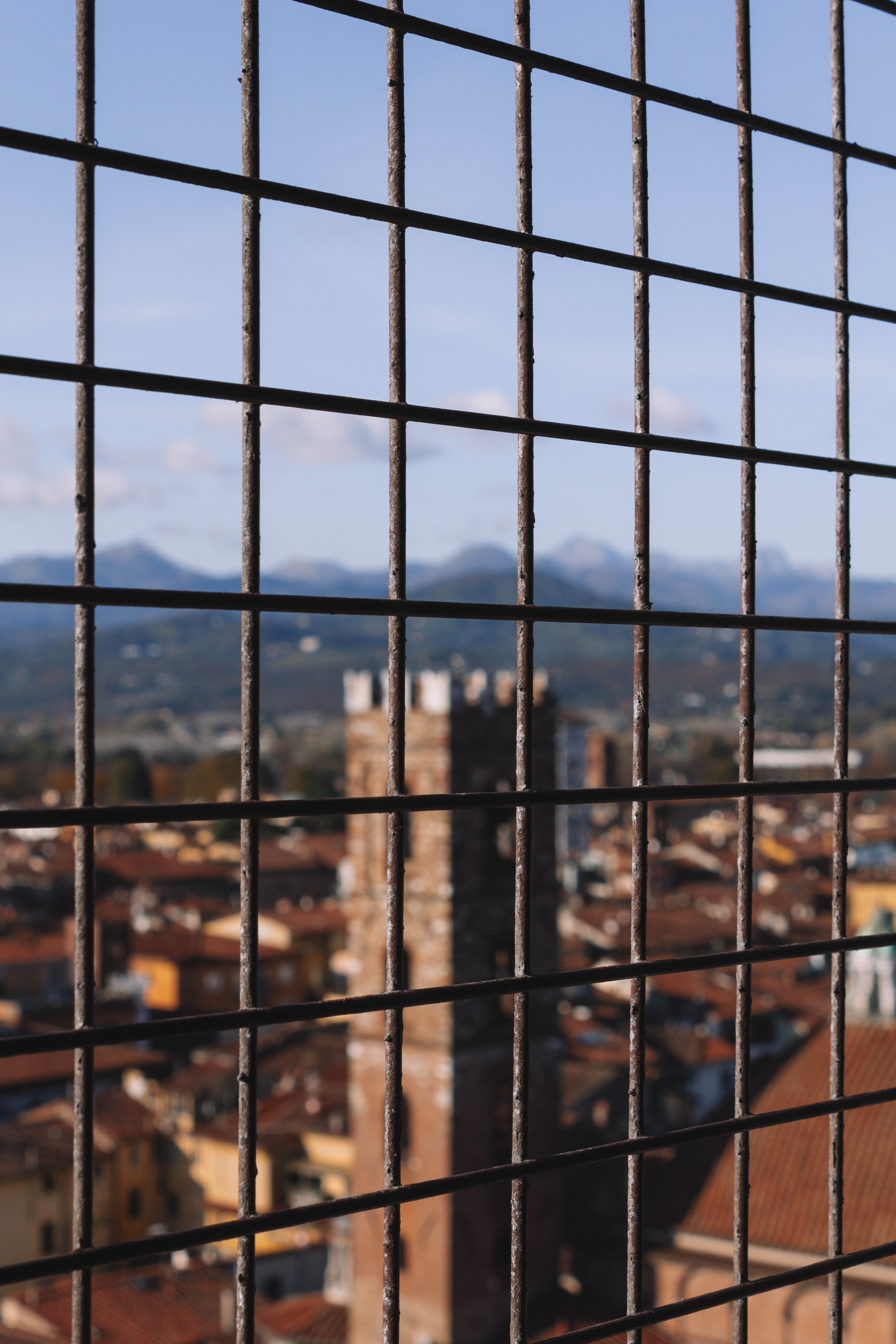 View from the campanile