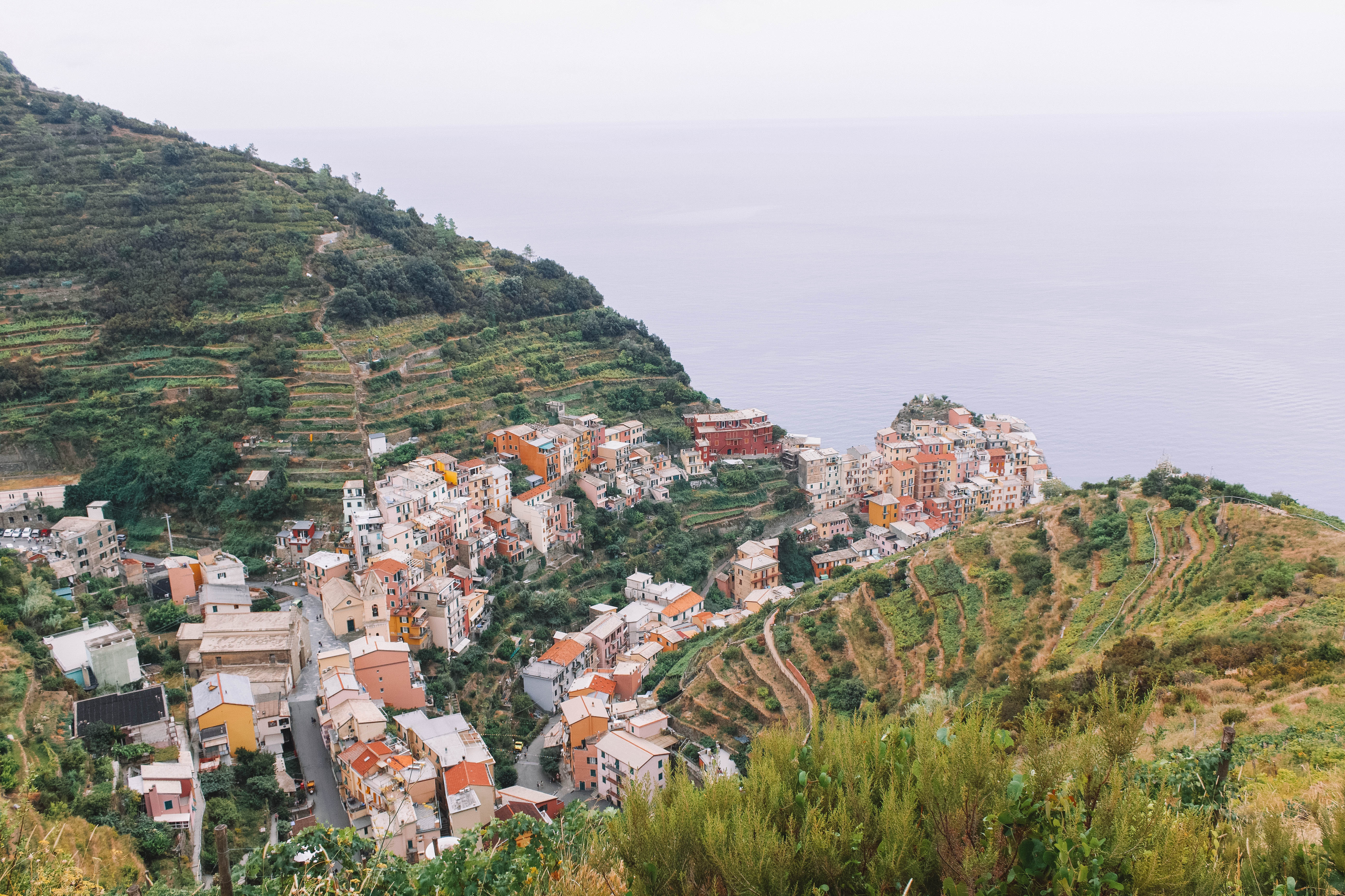 Manarola